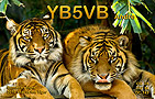 YB5VB - 