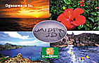JA1DFK_JD1 - Front