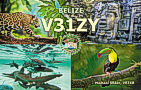 V31ZY - 